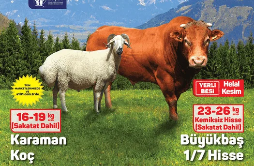 A101 29 Mayıs - 5 Haziran Aldın Aldın Elektronik Kataloğu - Hi