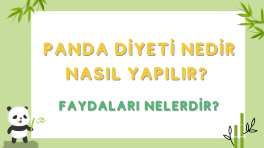 Panda Diyeti Nedir Nasıl Yapılır Faydaları Nelerdir - Hi