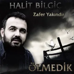Halit Bilgiç - Unutursun Gönlüm Şarkı Sözleri - Hi