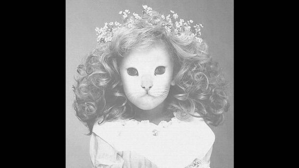 MrKitty 44 Days Şarkı Sözleri ve Derin Anlamı Arka Planı Şarkının Gerçek Korku Dolu Hikayesi - Hi